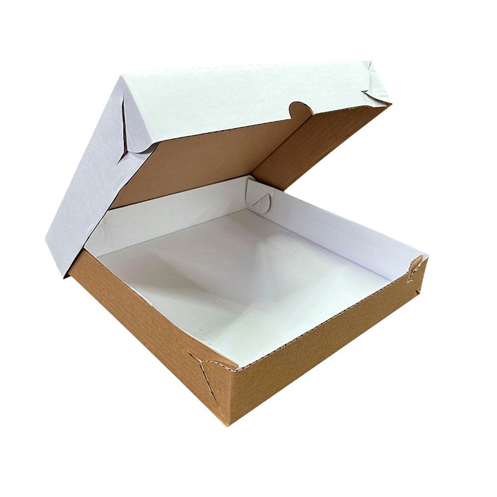 Caixa Desacoplada N°3 - 25x25x5,5cm com 25un Cia dos Produtos